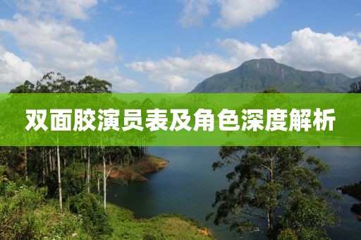 双面胶演员表及角色深度解析