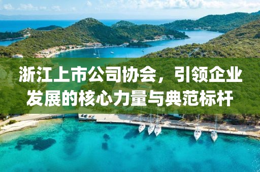 浙江上市公司协会，引领企业发展的核心力量与典范标杆