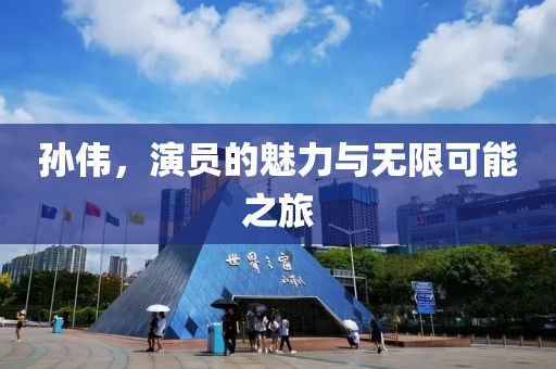 孙伟，演员的魅力与无限可能之旅