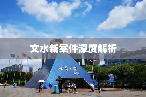 文水新案件深度解析