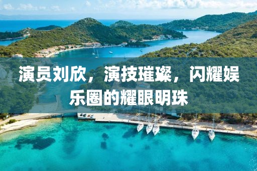 演员刘欣，演技璀璨，闪耀娱乐圈的耀眼明珠