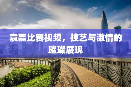 袁磊比赛视频，技艺与激情的璀璨展现