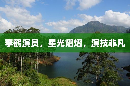 李鹤演员，星光熠熠，演技非凡