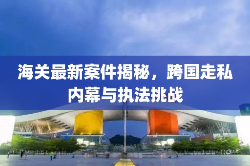 海关最新案件揭秘，跨国走私内幕与执法挑战