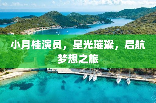 小月桂演员，星光璀璨，启航梦想之旅