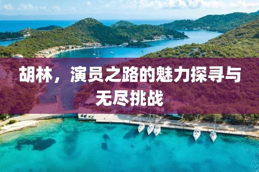 胡林，演员之路的魅力探寻与无尽挑战