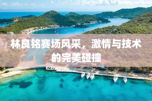 林良铭赛场风采，激情与技术的完美碰撞