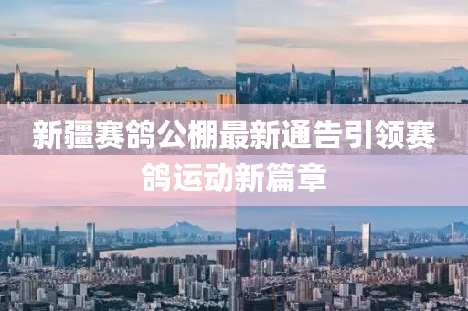 新疆赛鸽公棚最新通告引领赛鸽运动新篇章