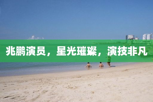 兆鹏演员，星光璀璨，演技非凡