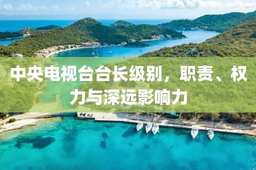 中央电视台台长级别，职责、权力与深远影响力