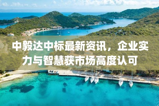 中毅达中标最新资讯，企业实力与智慧获市场高度认可