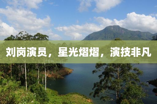 刘岗演员，星光熠熠，演技非凡