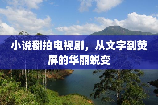 小说翻拍电视剧，从文字到荧屏的华丽蜕变