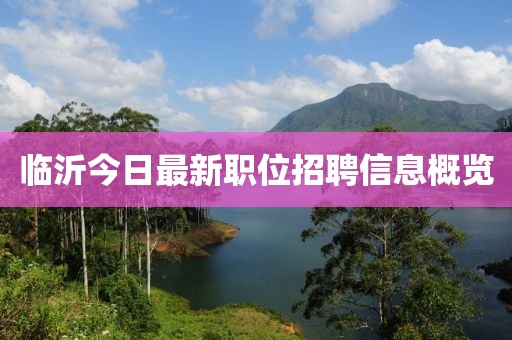 临沂今日最新职位招聘信息概览