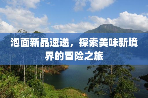 泡面新品速递，探索美味新境界的冒险之旅