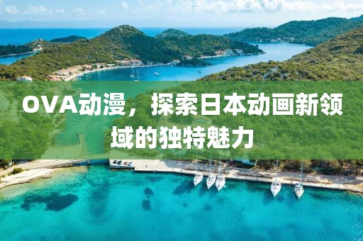 OVA动漫，探索日本动画新领域的独特魅力