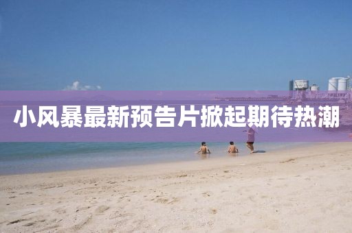 小风暴最新预告片掀起期待热潮