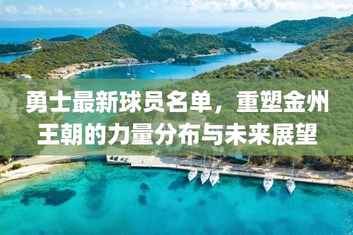 勇士最新球员名单，重塑金州王朝的力量分布与未来展望