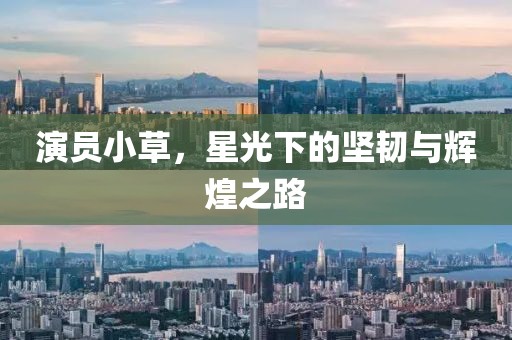 演员小草，星光下的坚韧与辉煌之路