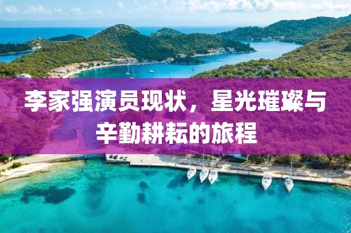 李家强演员现状，星光璀璨与辛勤耕耘的旅程