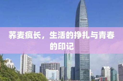 荞麦疯长，生活的挣扎与青春的印记