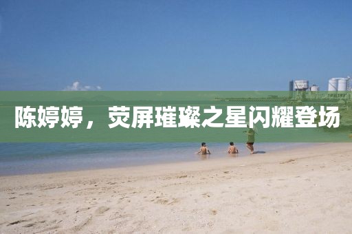 陈婷婷，荧屏璀璨之星闪耀登场