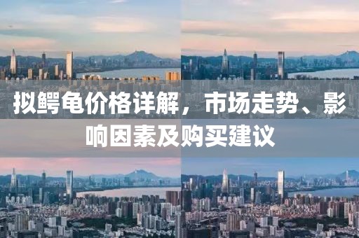 拟鳄龟价格详解，市场走势、影响因素及购买建议