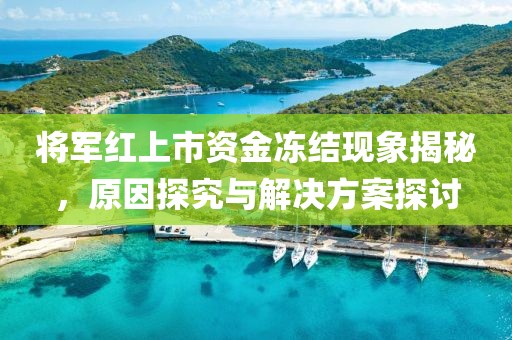 将军红上市资金冻结现象揭秘，原因探究与解决方案探讨