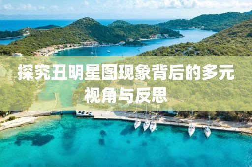 探究丑明星图现象背后的多元视角与反思