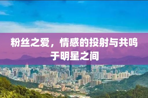 粉丝之爱，情感的投射与共鸣于明星之间
