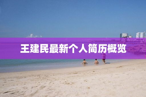 王建民最新个人简历概览