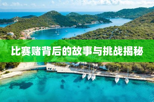 比赛赌背后的故事与挑战揭秘