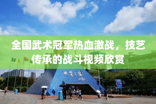 全国武术冠军热血激战，技艺传承的战斗视频欣赏