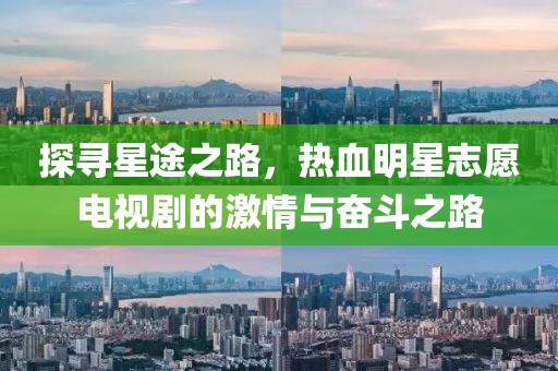 探寻星途之路，热血明星志愿电视剧的激情与奋斗之路