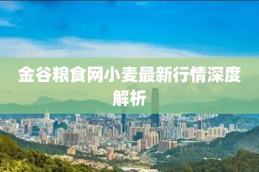 金谷粮食网小麦最新行情深度解析