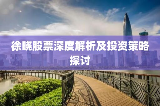 徐晓股票深度解析及投资策略探讨