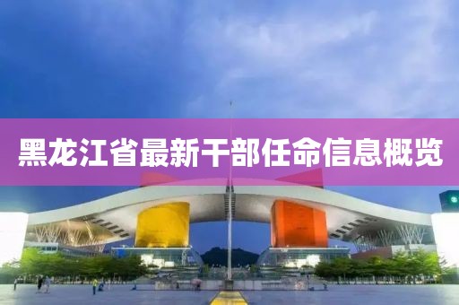 黑龙江省最新干部任命信息概览