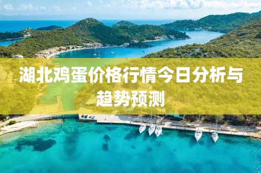 湖北鸡蛋价格行情今日分析与趋势预测