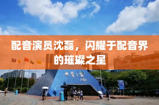 配音演员沈磊，闪耀于配音界的璀璨之星