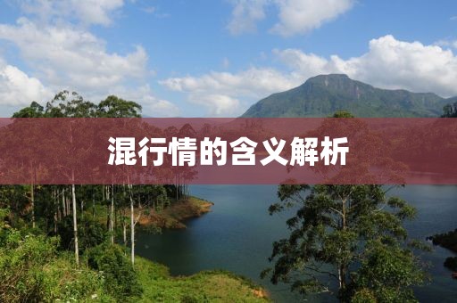 混行情的含义解析