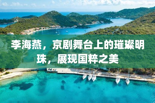 李海燕，京剧舞台上的璀璨明珠，展现国粹之美