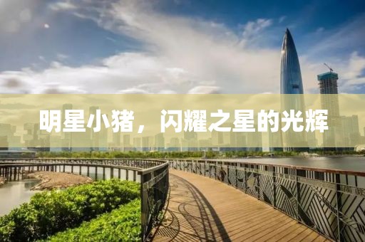 明星小猪，闪耀之星的光辉