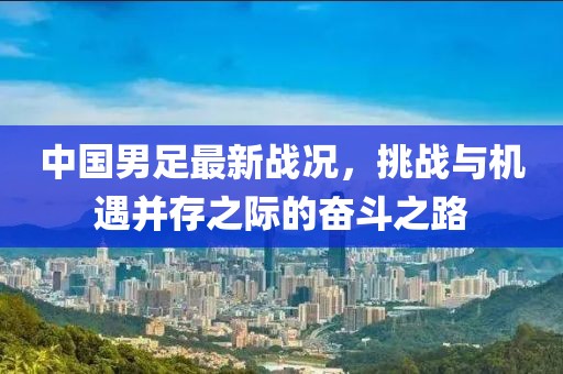 中国男足最新战况，挑战与机遇并存之际的奋斗之路