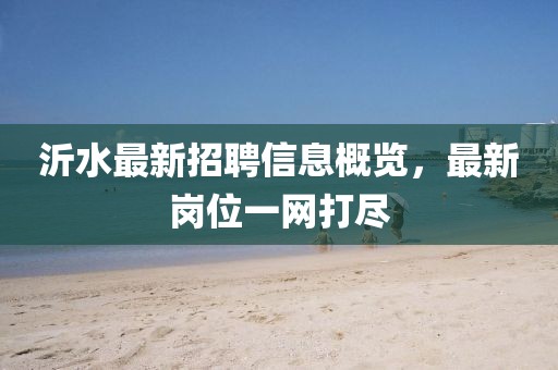 沂水最新招聘信息概览，最新岗位一网打尽