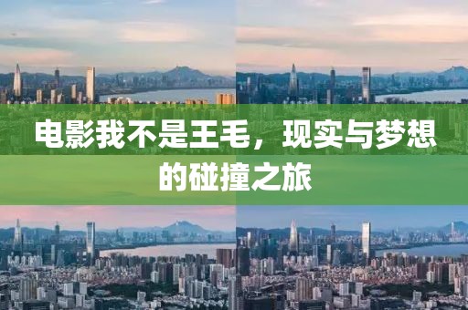 电影我不是王毛，现实与梦想的碰撞之旅