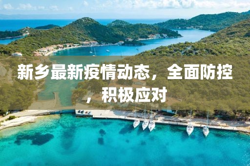 新乡最新疫情动态，全面防控，积极应对