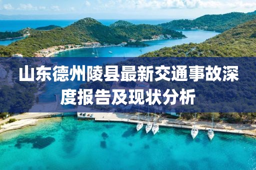 山东德州陵县最新交通事故深度报告及现状分析