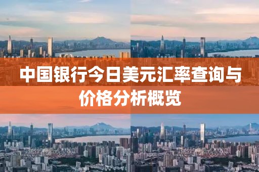 中国银行今日美元汇率查询与价格分析概览