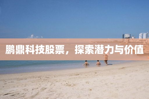 鹏鼎科技股票，探索潜力与价值