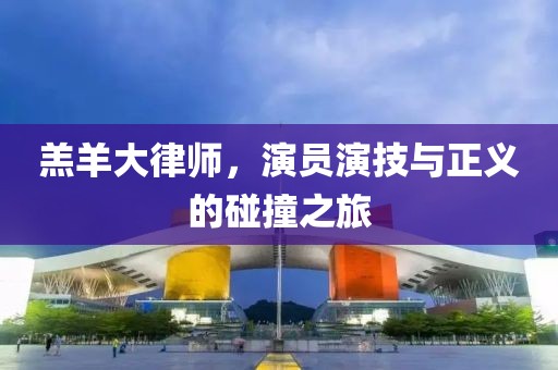羔羊大律师，演员演技与正义的碰撞之旅